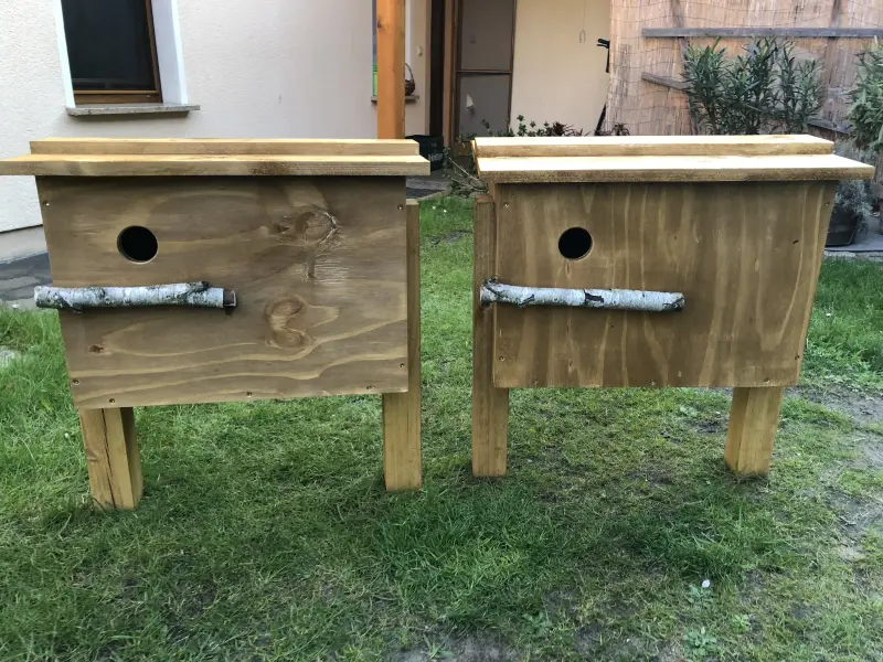 Wiedehopf Nistkasten